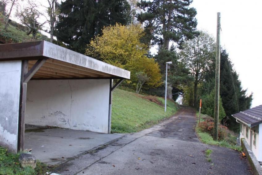 Gais Alpins - foto 25