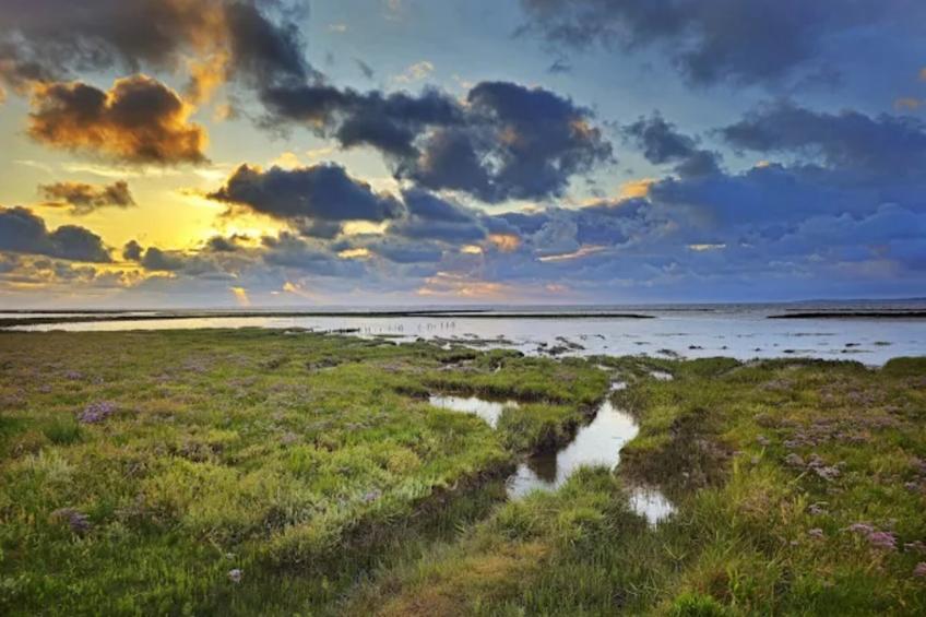 Bungalow Nordseebrise - foto 35