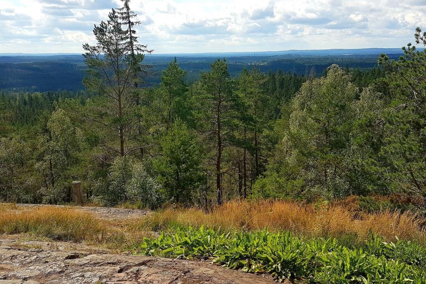 Villa Bullerbü - foto 35