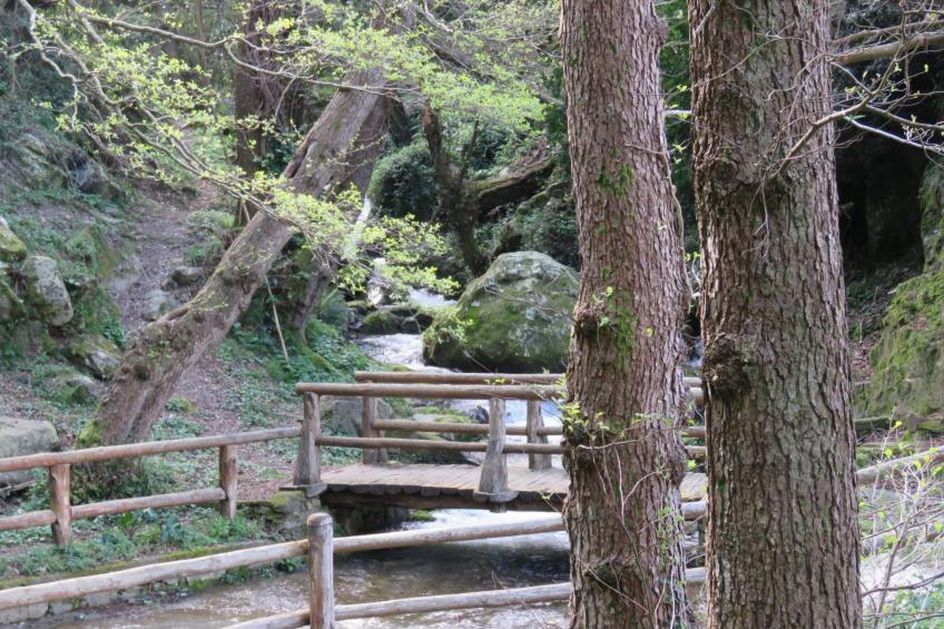 Ferienwohnung - foto 18