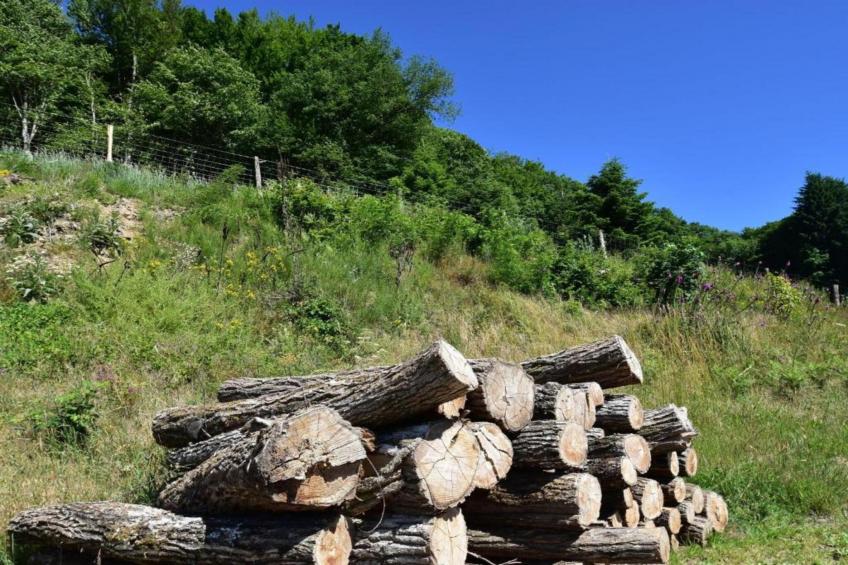 Maison de vacances - VIGNOL - foto 33