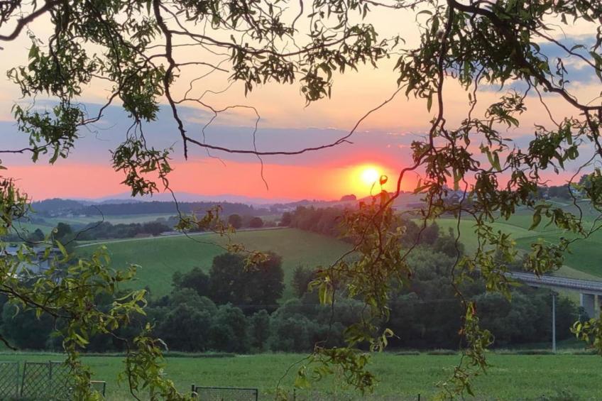 Vakantiepark Jägerwiesen - foto 14
