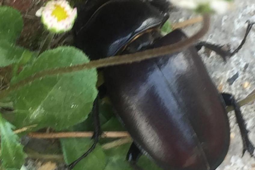 Ländlicher Tourismus - foto 16