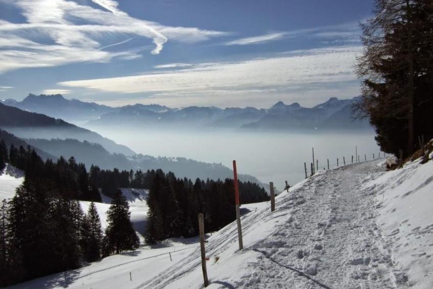 Les Narcisses,Blonay - foto 14