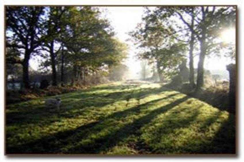 Maison de vacances - ST LAURENT-DES-MORTIERS - foto 35