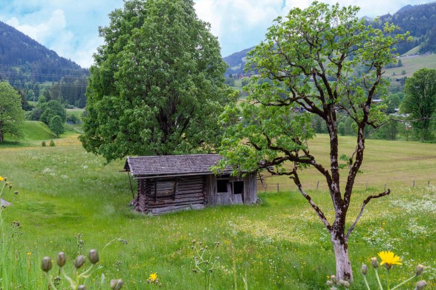 Penthouse Fuchs 1 - foto 28