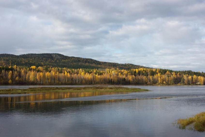 Villa Majringen - foto 25