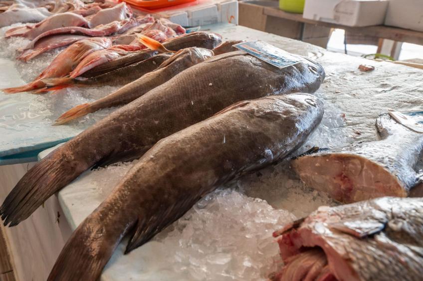 mit Blick auf das Wasser - foto 29