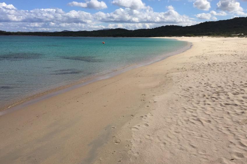 Stazzo mit Garten in Luogosanto - foto 47