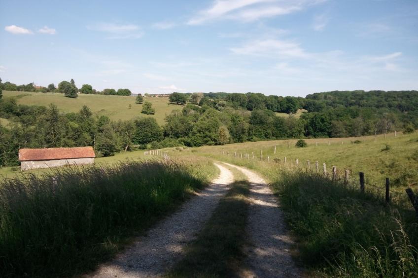 in Celles-En-Bassigny  umzäunter Garten - foto 22