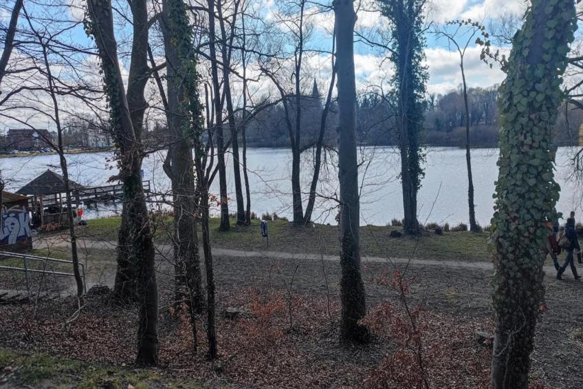 Fewo Päpke - foto 30