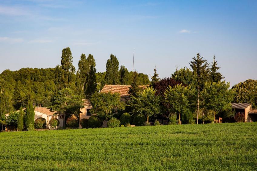 Wohnung "El Corral" mit Terrasse - foto 36