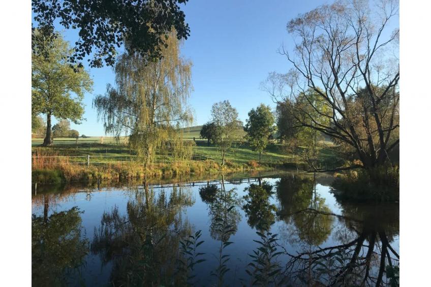 TH3 1P 40€(5) Schulz - foto 16