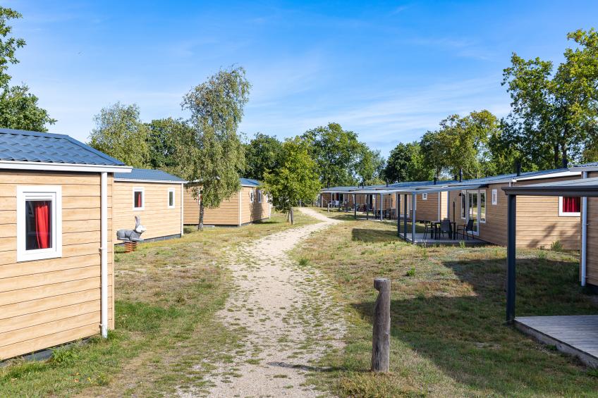 Chalet - De Duinhoeve 'Bosdier' - Maireweg 7 | Burgh-Haamstede - foto 34