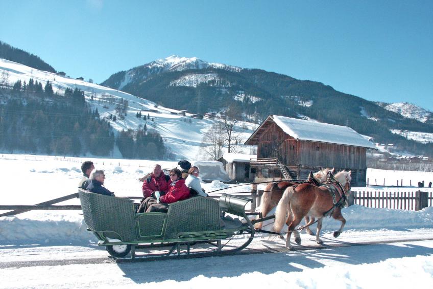 Rehkitz - foto 32