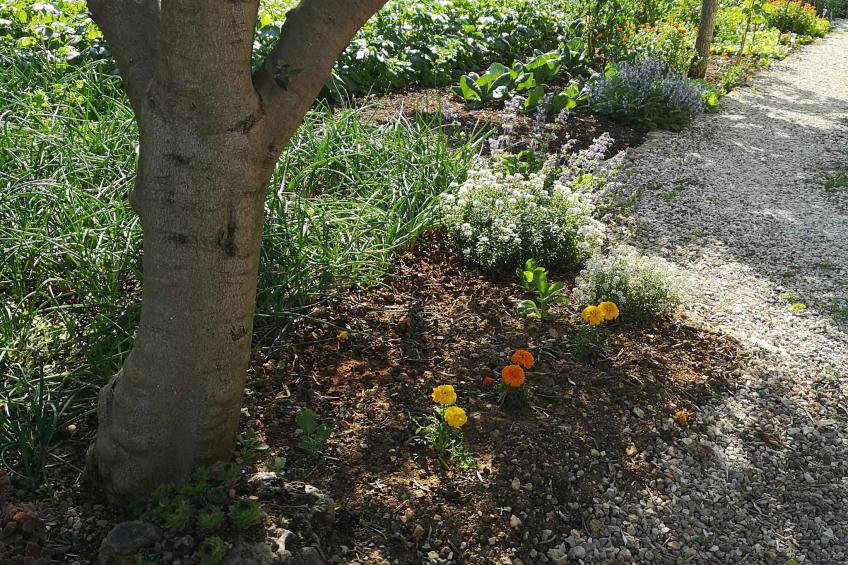 Vakantiewoning met airconditioning en barbecue - VW-T86Z - foto 8