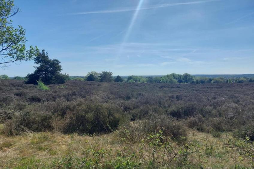 Park Haarle - foto 30