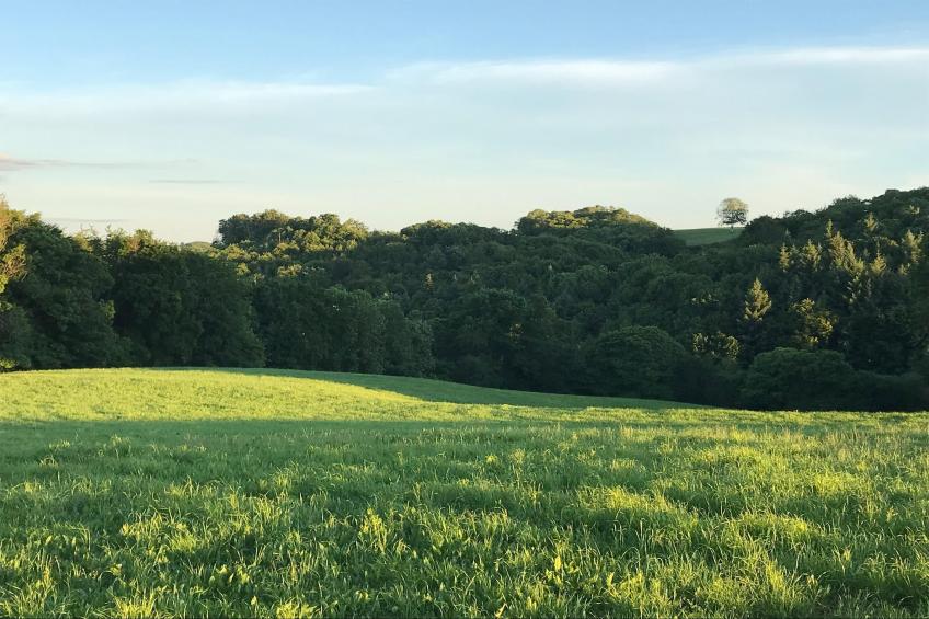 The Grange - foto 35