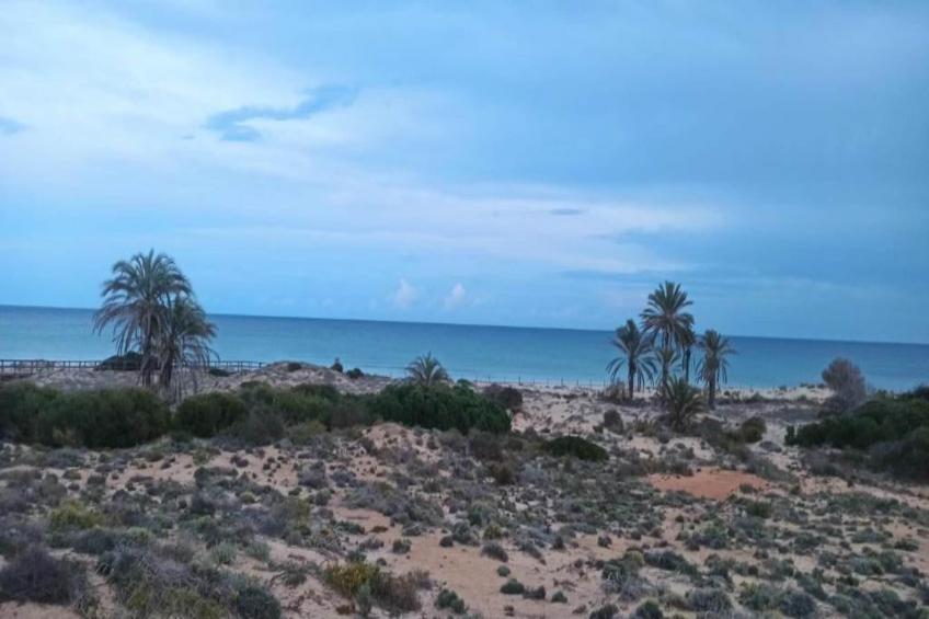 Casa Dara 2 - foto 38