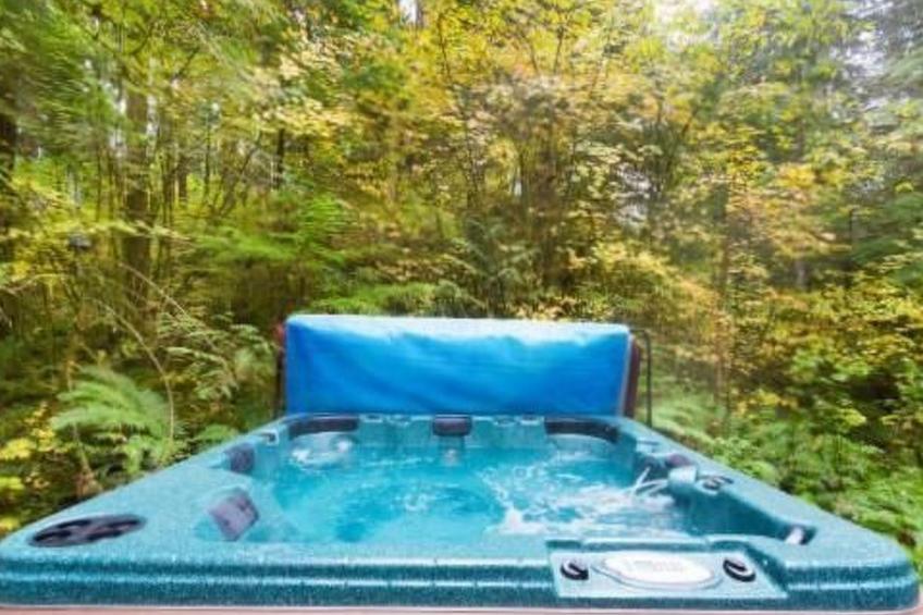 Gemütliche Hütte mit Whirlpool und haustierfreundlich - foto 11