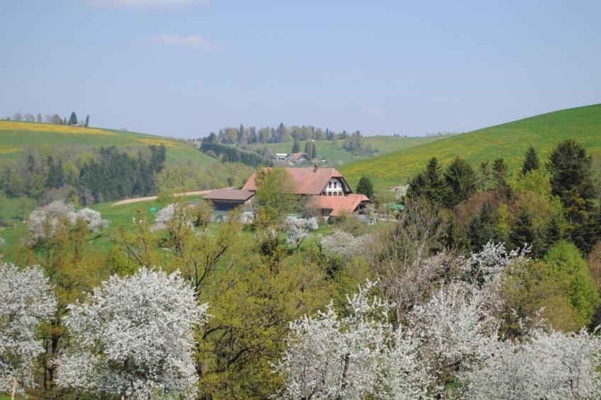 Im Althaus - foto 15