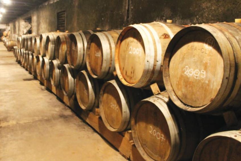 Villa Azinhança do Mar - foto 36