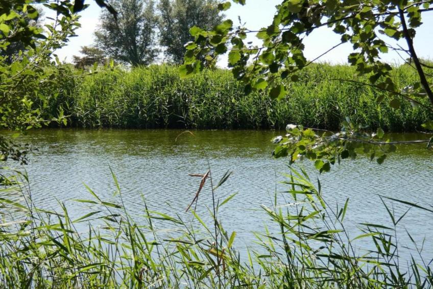 Het Platte Putje - Huisdier - nr 2 - foto 29