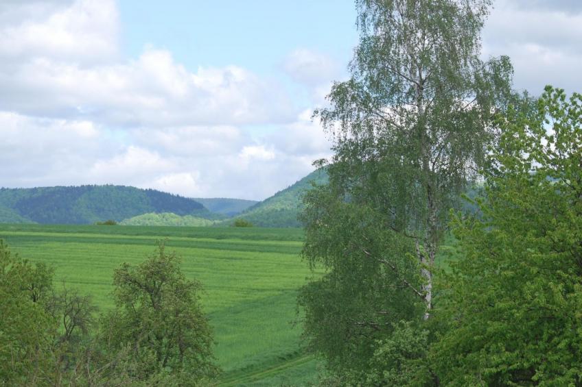 Fewo Stricker 22 - foto 30