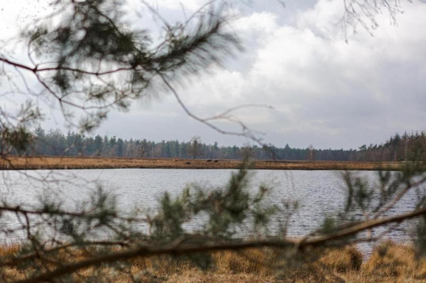 Dorpswoning Op Niveau 4 - foto 29