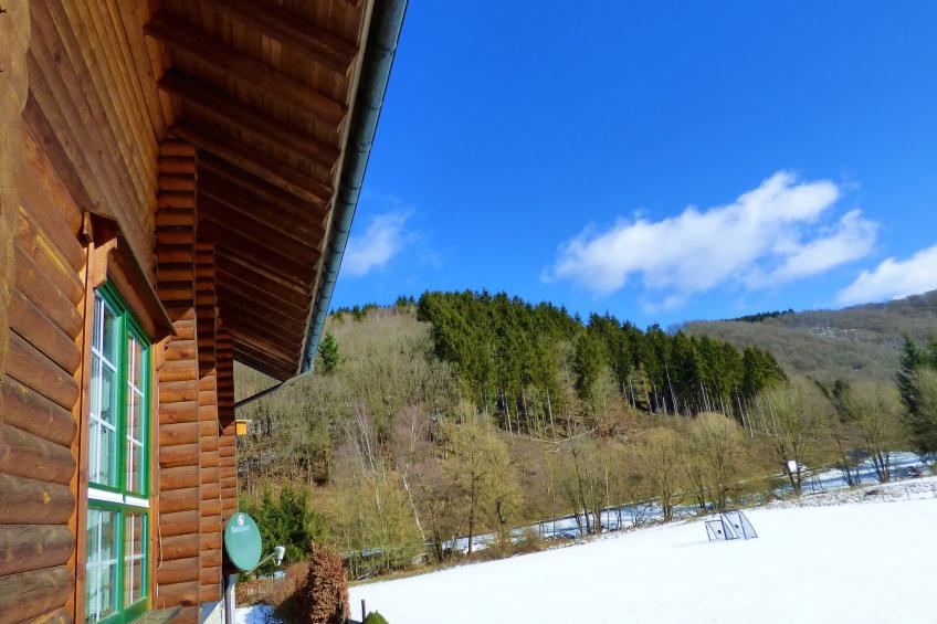 in Wiesen mit Privatem Pool - foto 11