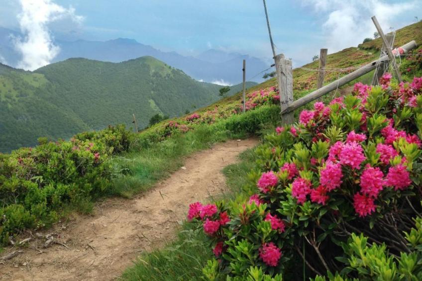 Wohlfühlort - foto 9