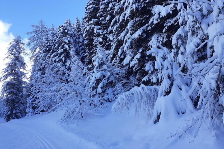 Urlaub in den Bergen - foto 26