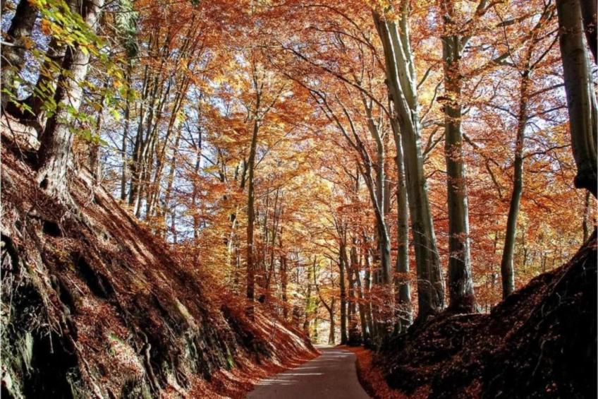 Le Chalet Chaleureux B - foto 35