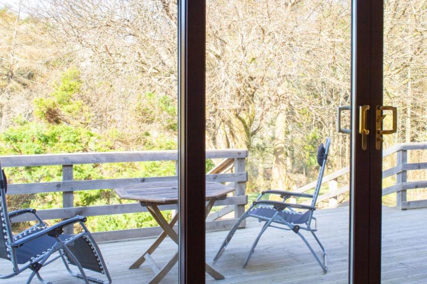 Blue Lobster - foto 40