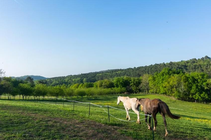 La Roque Haute - foto 10