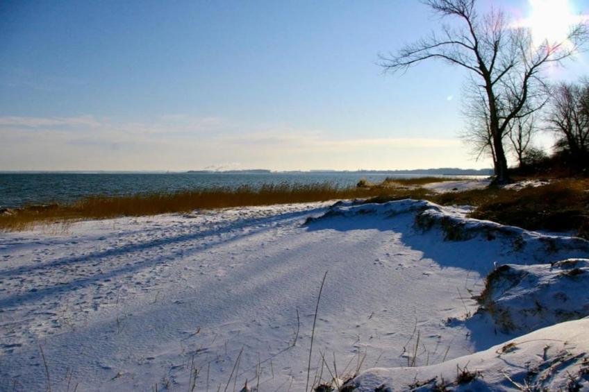 Ferienhaus Hohenkirchen - foto 42