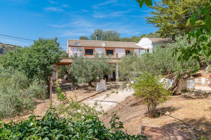 Cerro de la Cruz,charmantes Bauernhaus mit bester Aussicht,im Zentrum Andalusie - foto 66