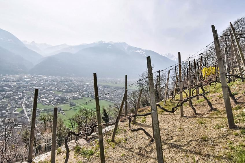 Al Vignale - Le Terrazze - foto 39