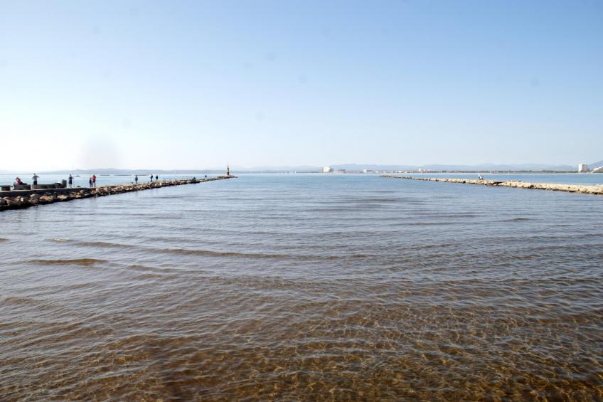 1242 PARE CLARET 500m playa - foto 23