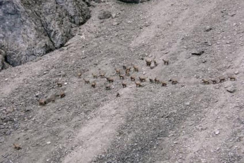 Haus Schönberg - foto 27