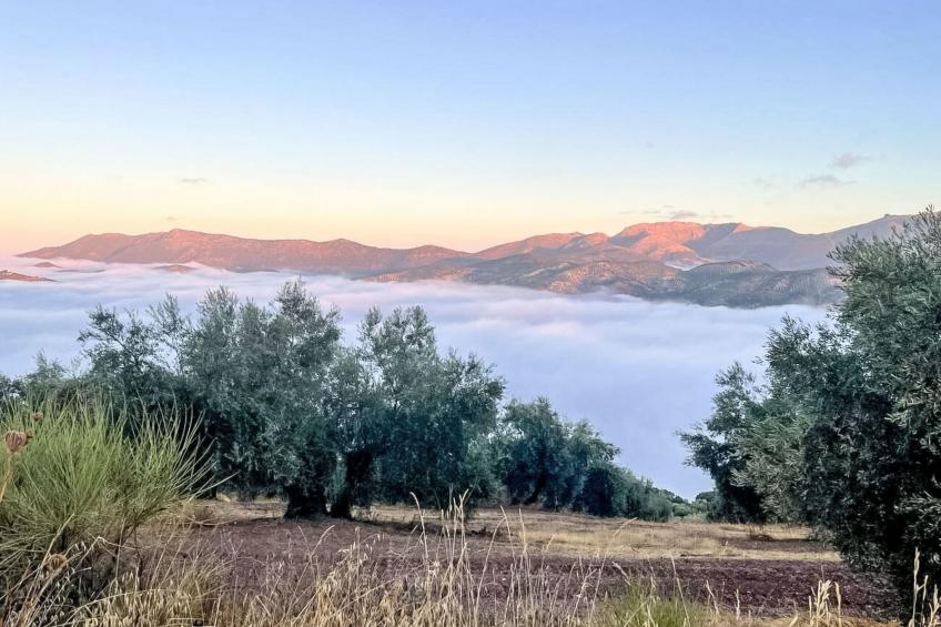 Finca "Molino" mit privatem Pool - foto 15