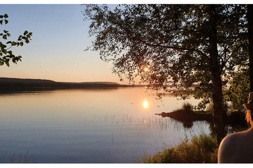 Koivulahden reinola - foto 12