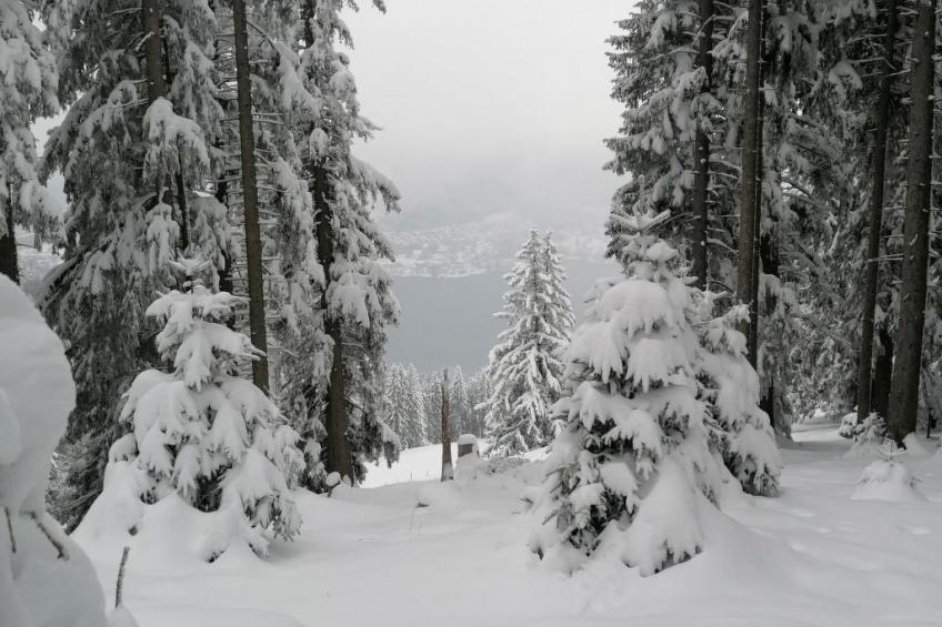 Region Tegernsee - foto 18