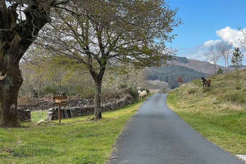 "Galicia Retreat - foto 26