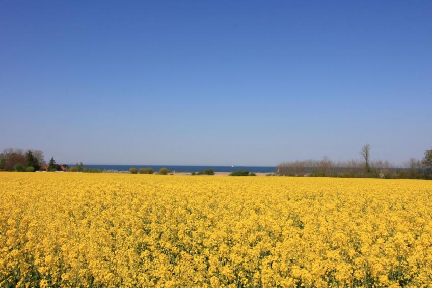 Tolle Ferienwohnung in Schönberger Strand - foto 15