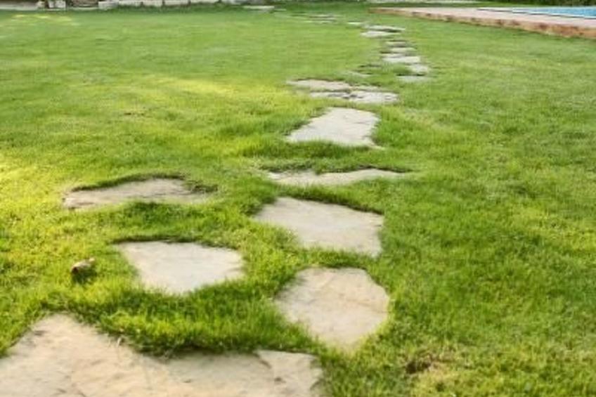 Villa Romantica - foto 24