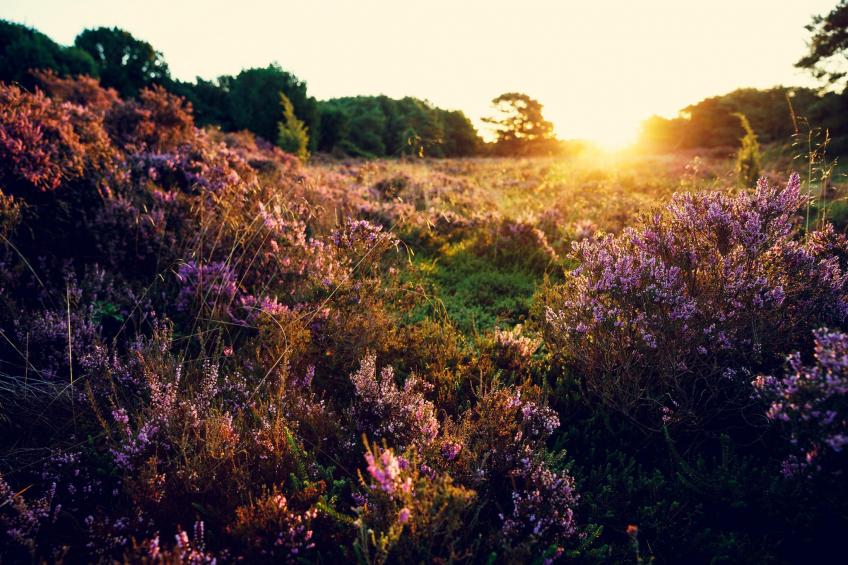 De Saale Lifestyle - foto 10