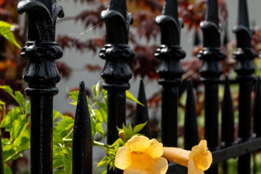 Suite Empire - foto 22