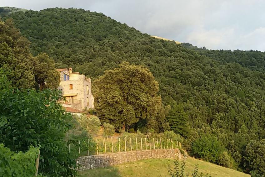 Kleines feines helles Appartment im Gruenen mit Meerblick - foto 3