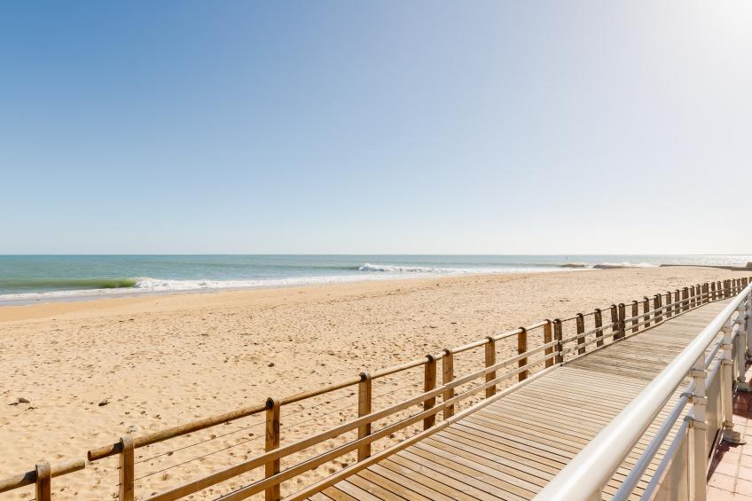 L Ocean N°40 - 2P5 - foto 15